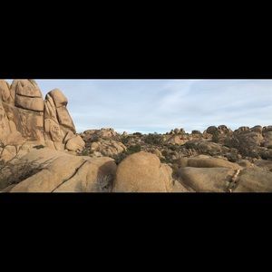 Meet your Posher, Irene